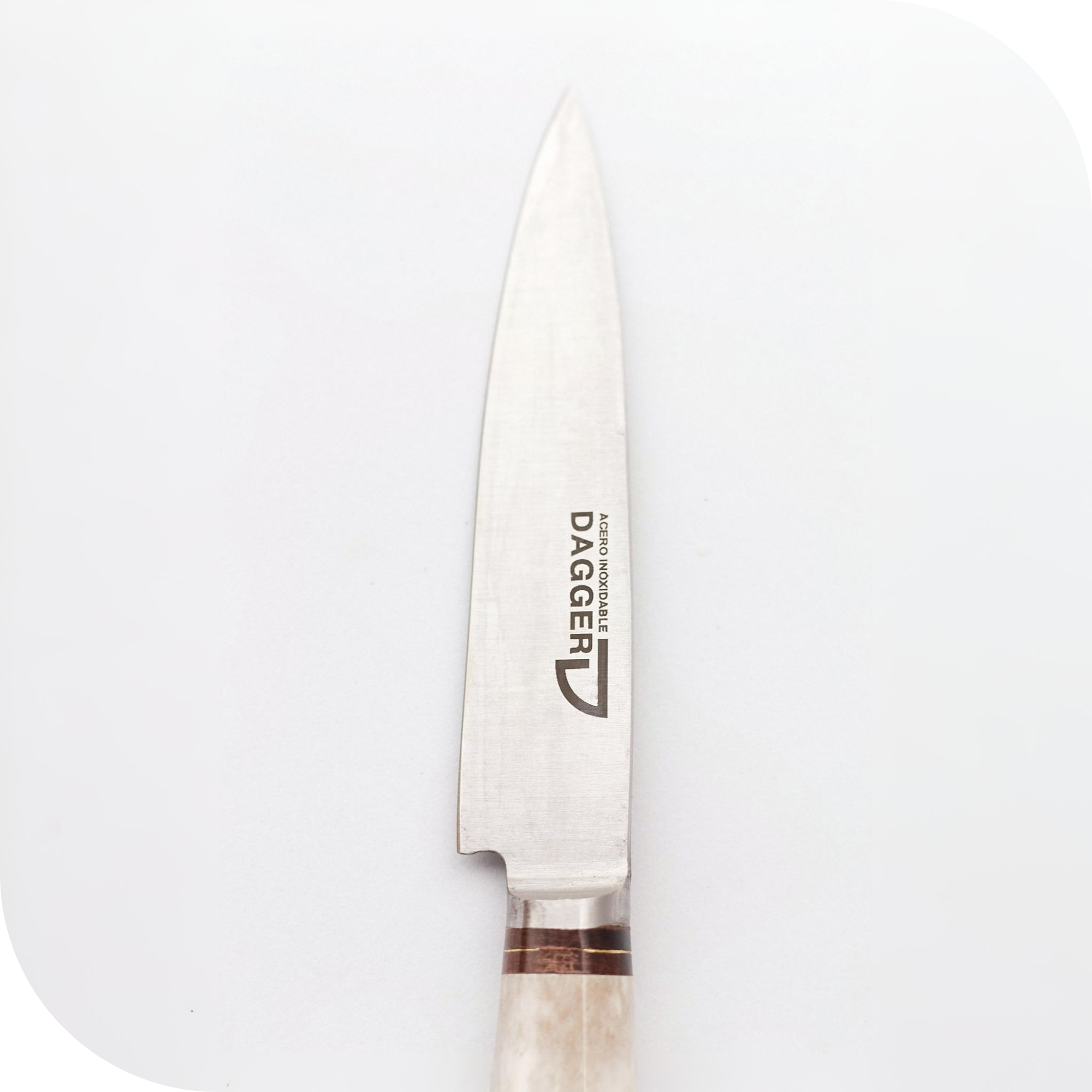 CUCHILLO 12 CM CIERVO ENTERO - Image 2