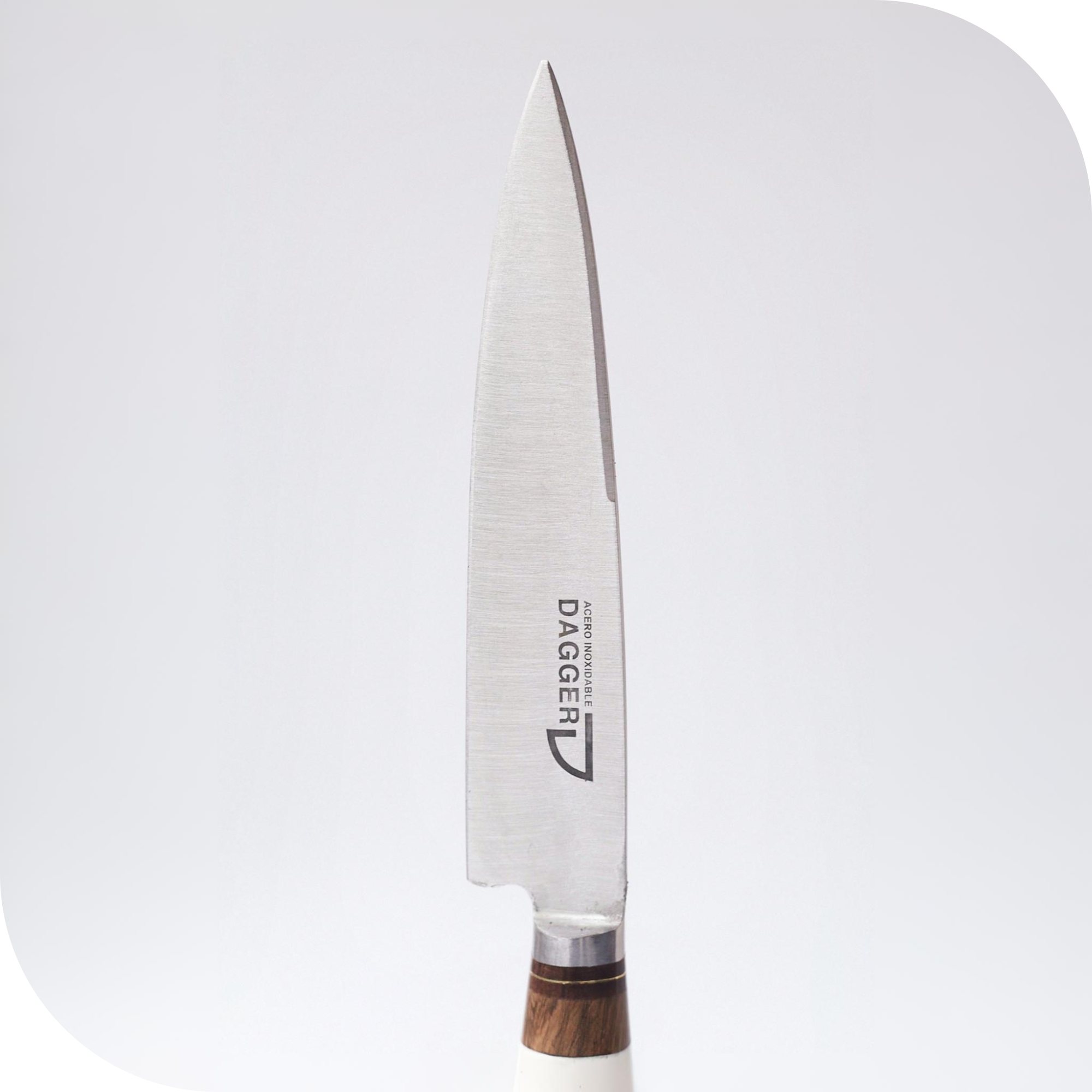 CUCHILLO 14 CM REGIONAL HUESO ENTERO BLANCO - Image 2