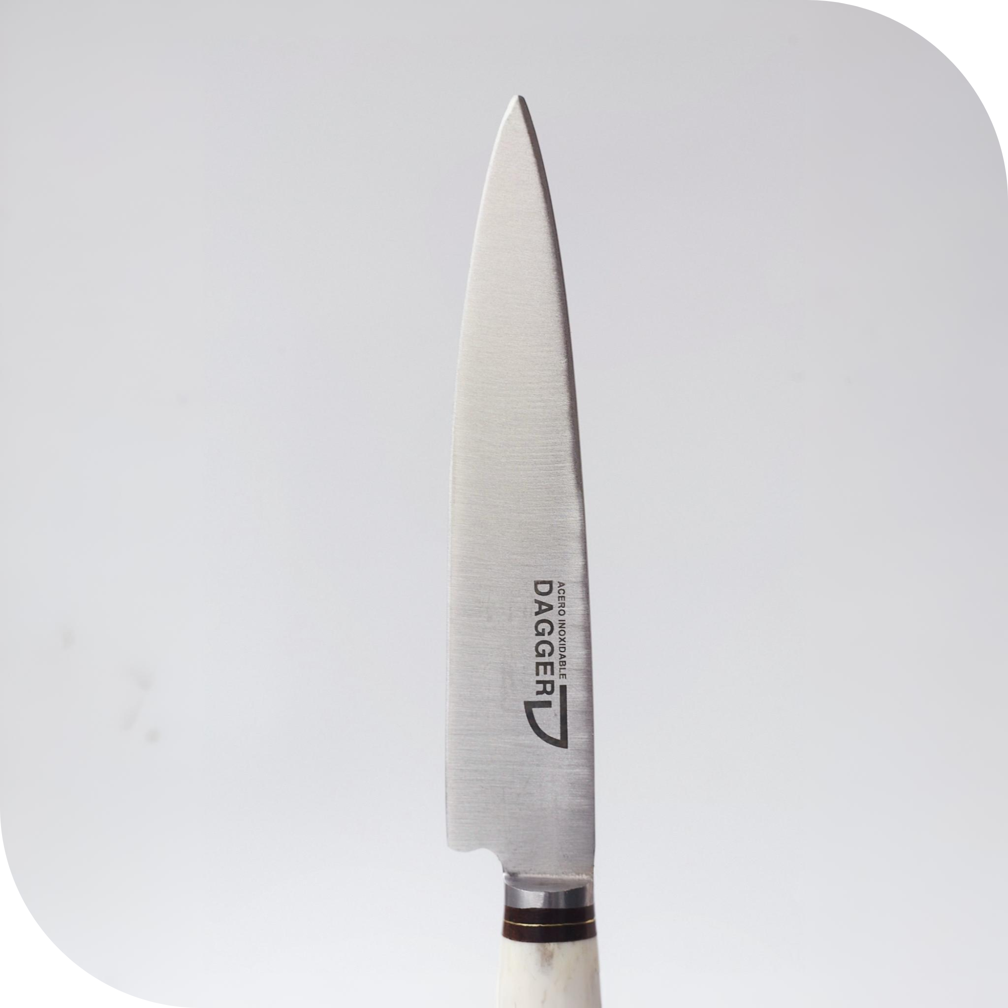CUCHILLO 14 CM CIERVO Y MADERA - Image 2