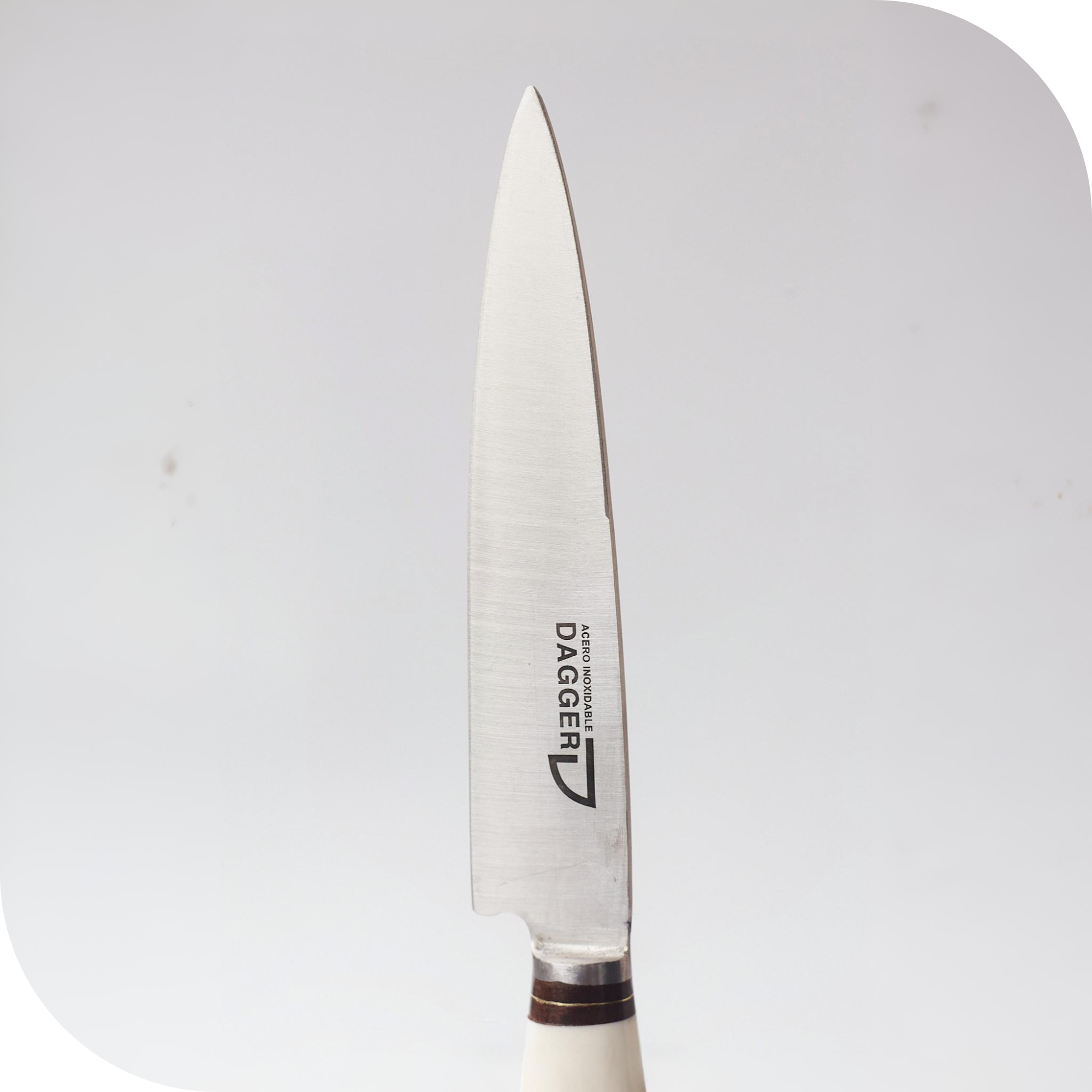 CUCHILLO 14 CM CIERVO ENTERO - Image 2