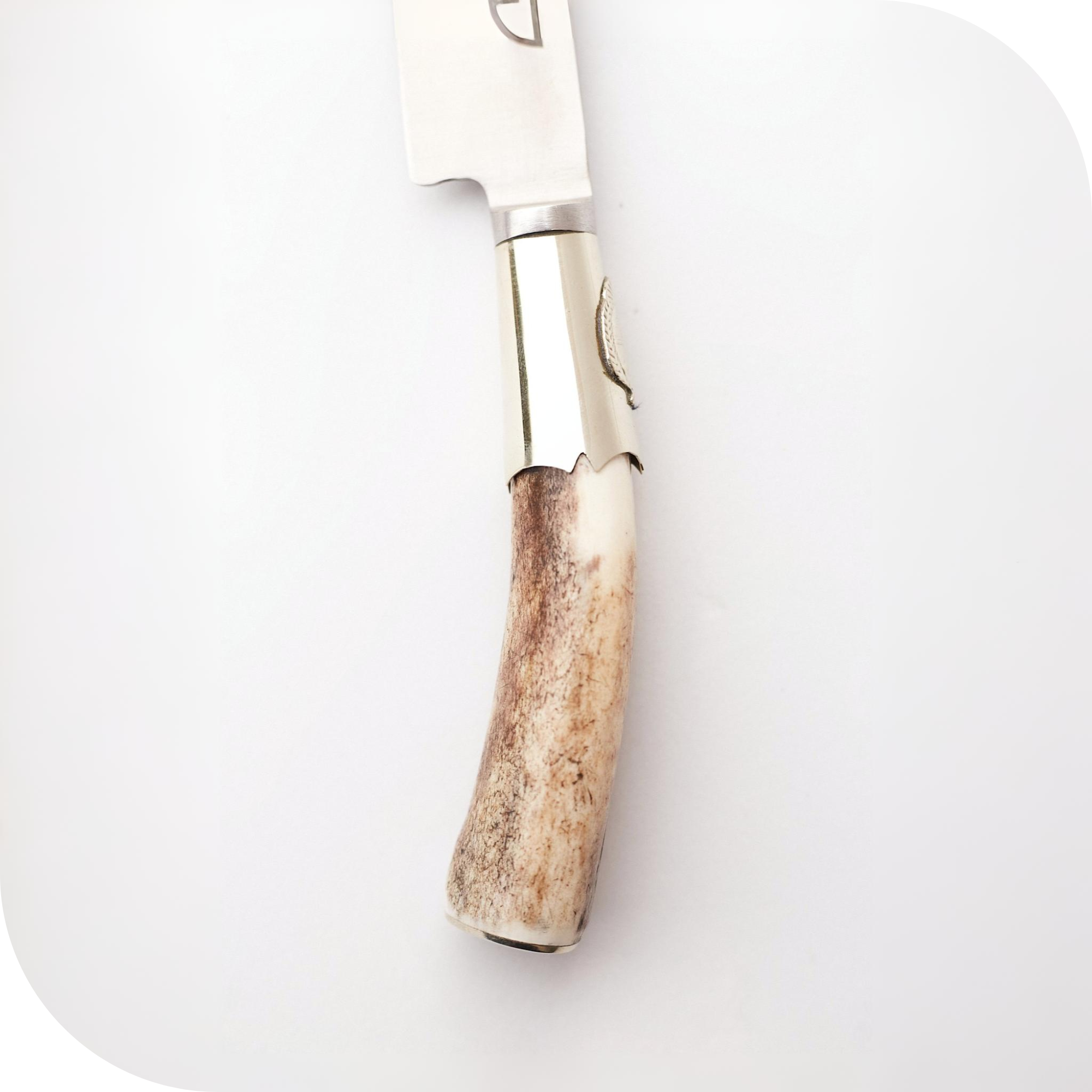 CUCHILLO 14 CM CIERVO ENTERO Y ALPACA C/DIJE - Image 2