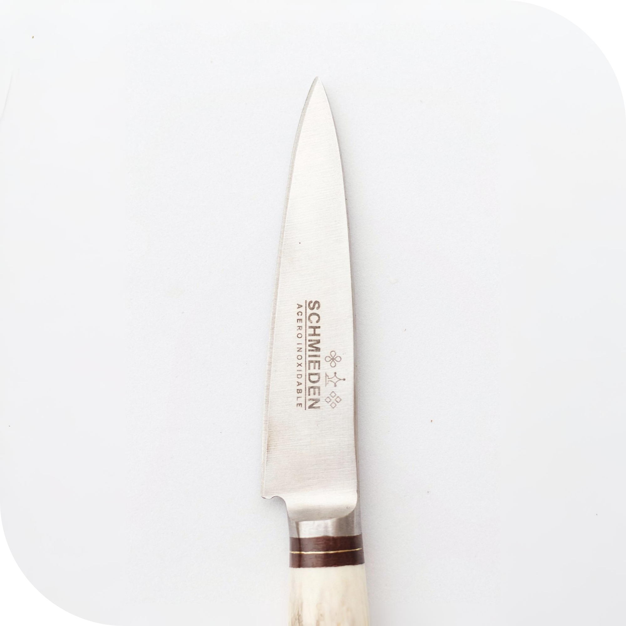 CUCHILLO 10 CM CIERVO ENTERO - Image 2