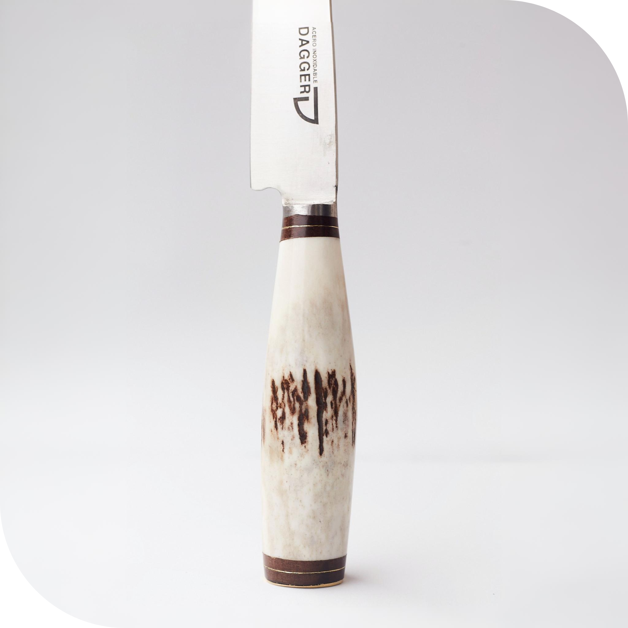 CUCHILLO 14 CM CIERVO ENTERO - Image 3
