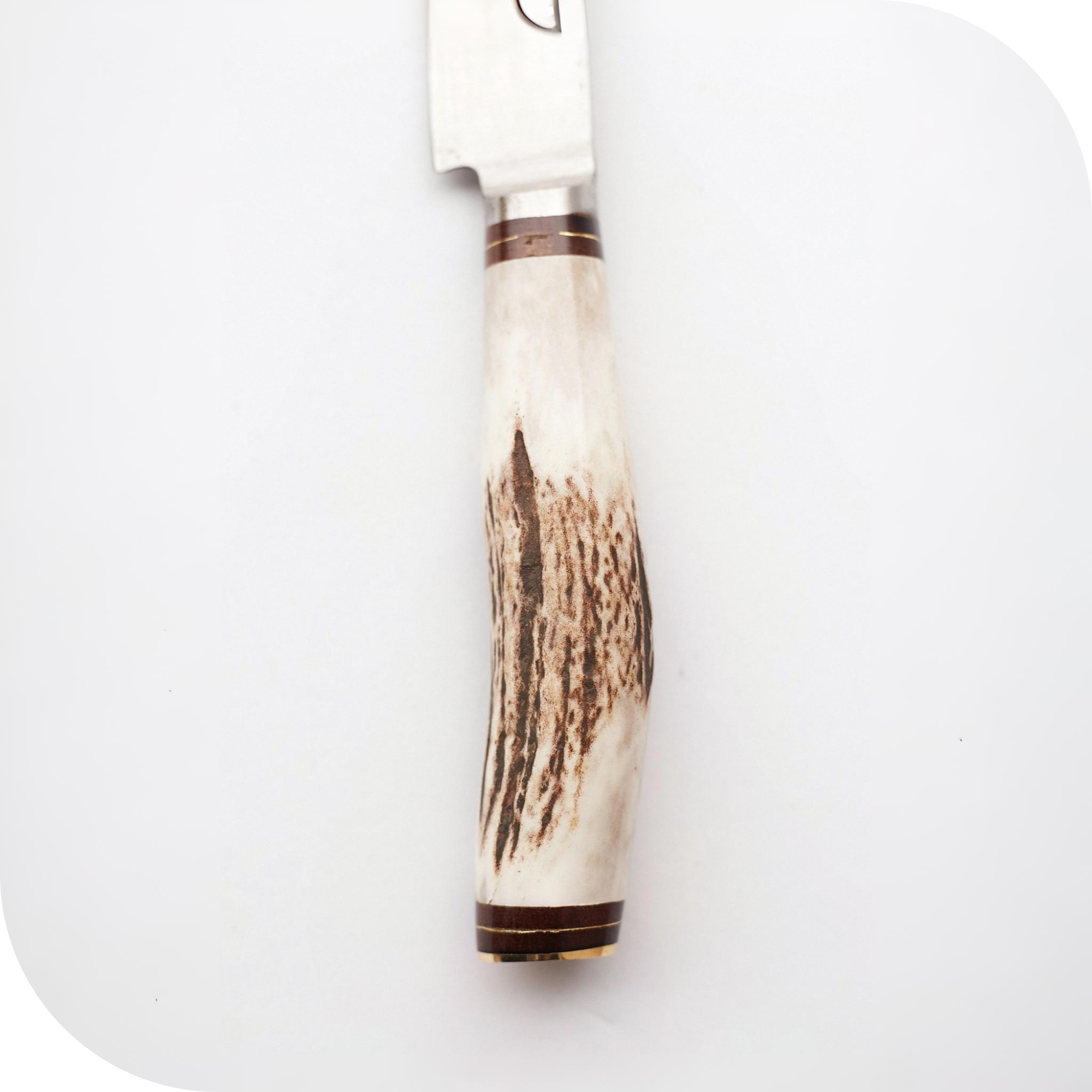 CUCHILLO 12 CM CIERVO ENTERO - Image 3