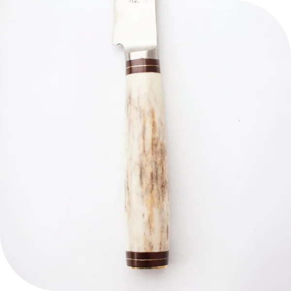 CUCHILLO 10 CM CIERVO ENTERO - Image 3