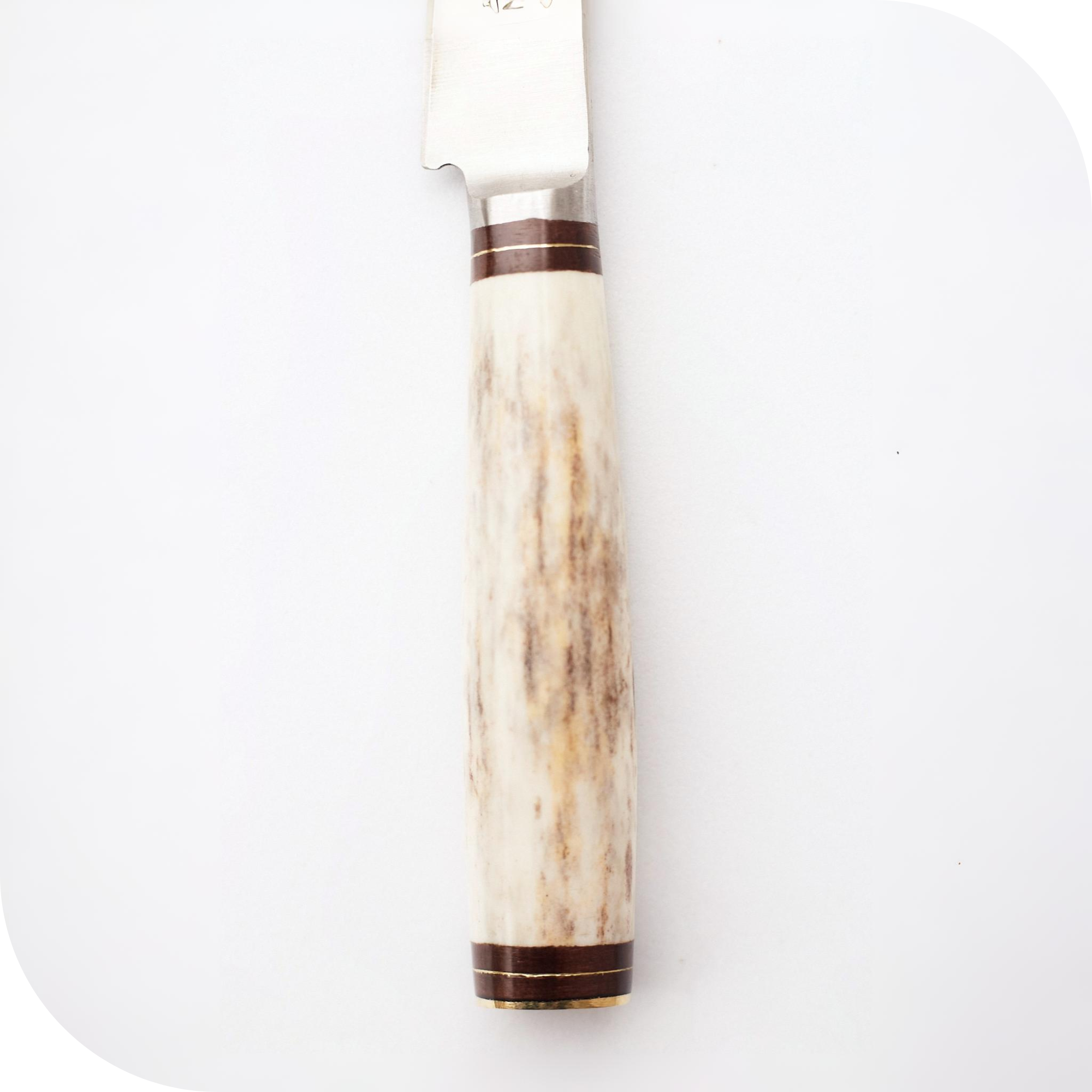 CUCHILLO 10 CM CIERVO ENTERO - Image 3
