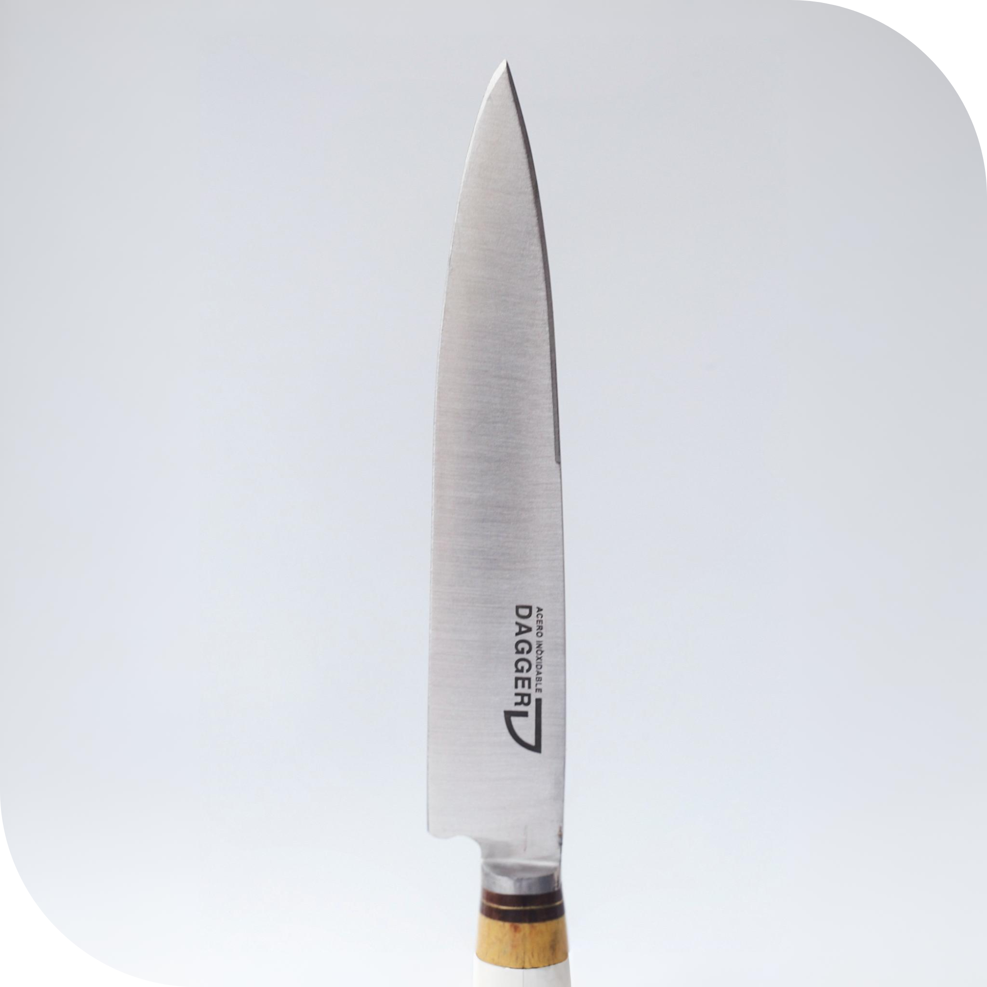 CUCHILLO 20 CM REGIONAL HUESO ENTERO BLANCO - Image 2