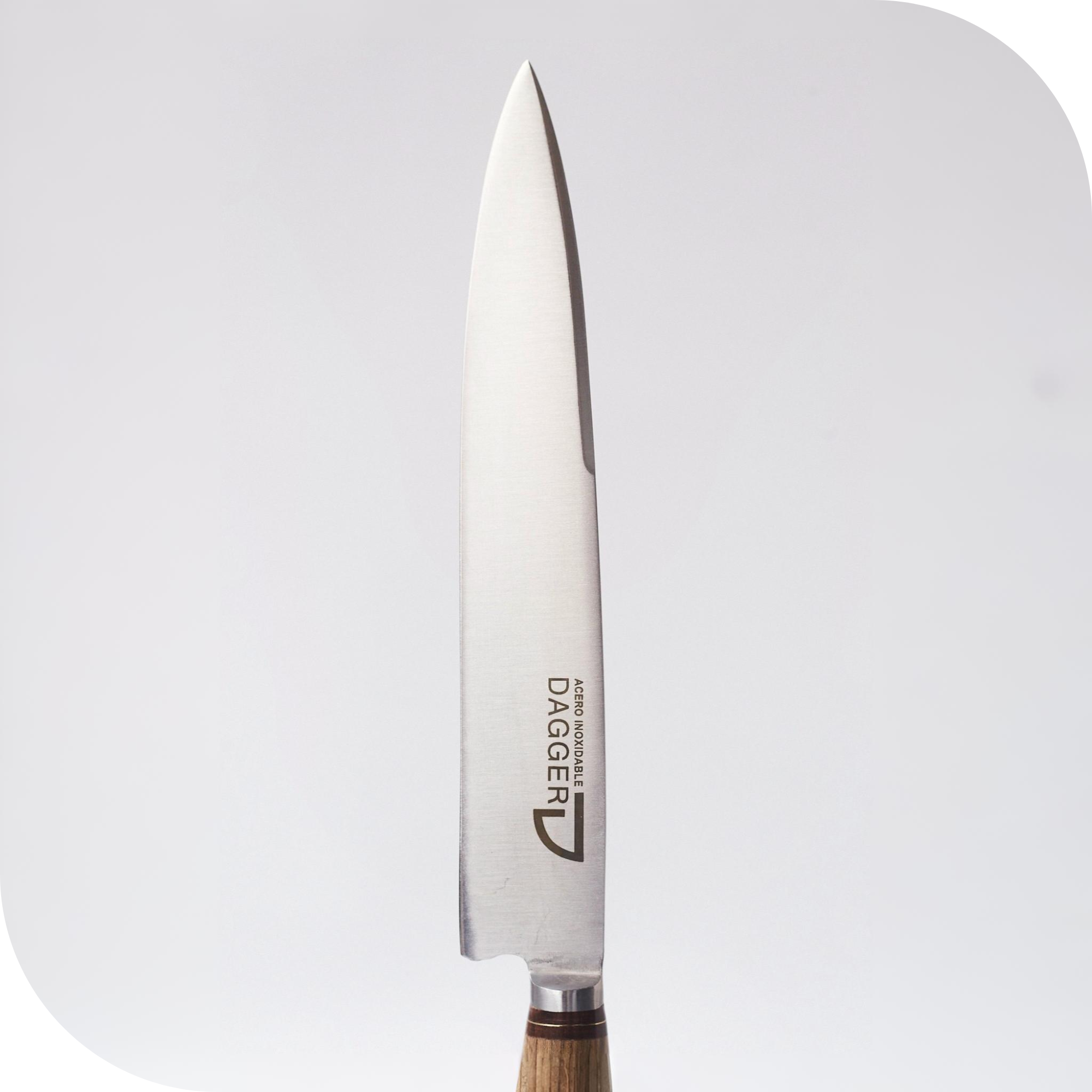CUCHILLO 20 CM CIERVO Y MADERA - Image 2