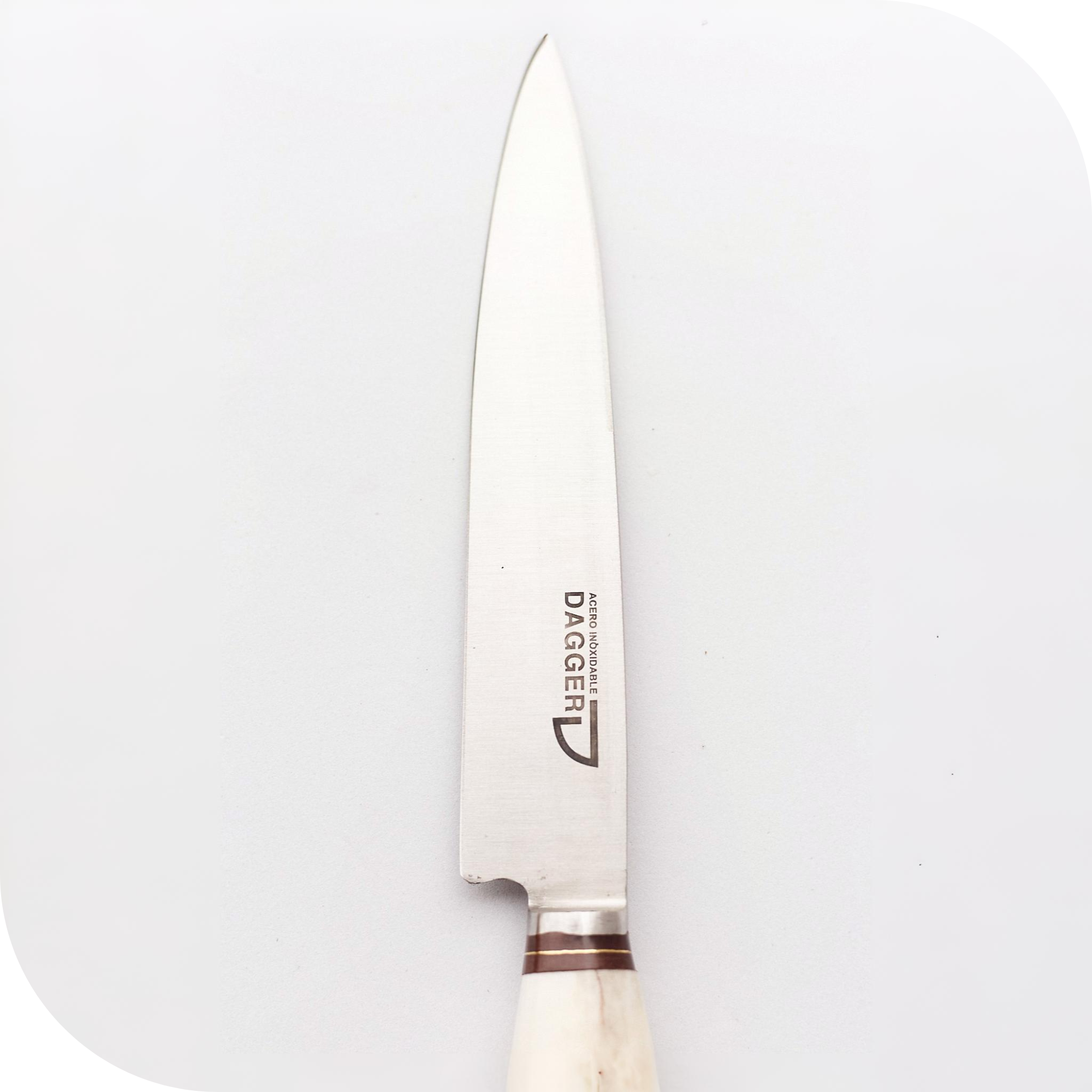 CUCHILLO 20 CM CIERVO ENTERO - Image 2