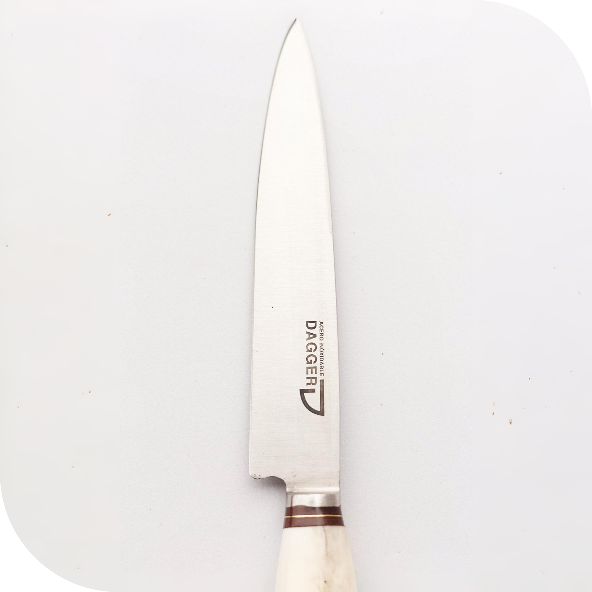 CUCHILLO 16 CM CIERVO ENTERO (VAINA NEGRA) - Image 2