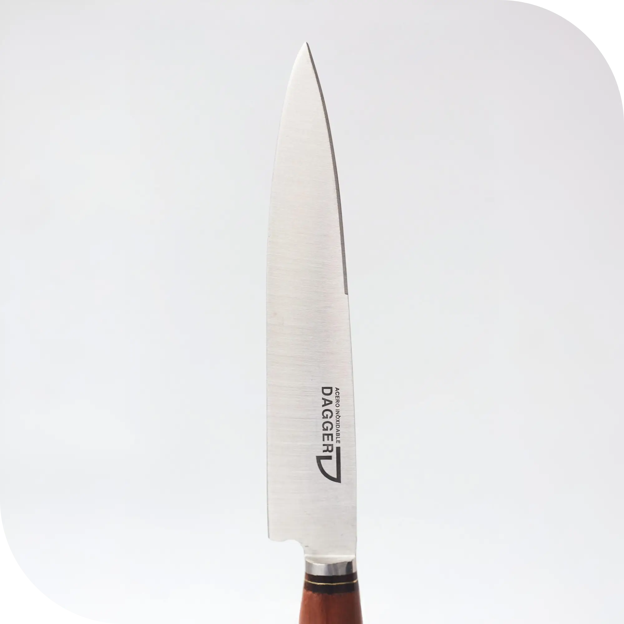 CUCHILLO 16 CM REGIONAL HUESO Y MADERA - Image 2