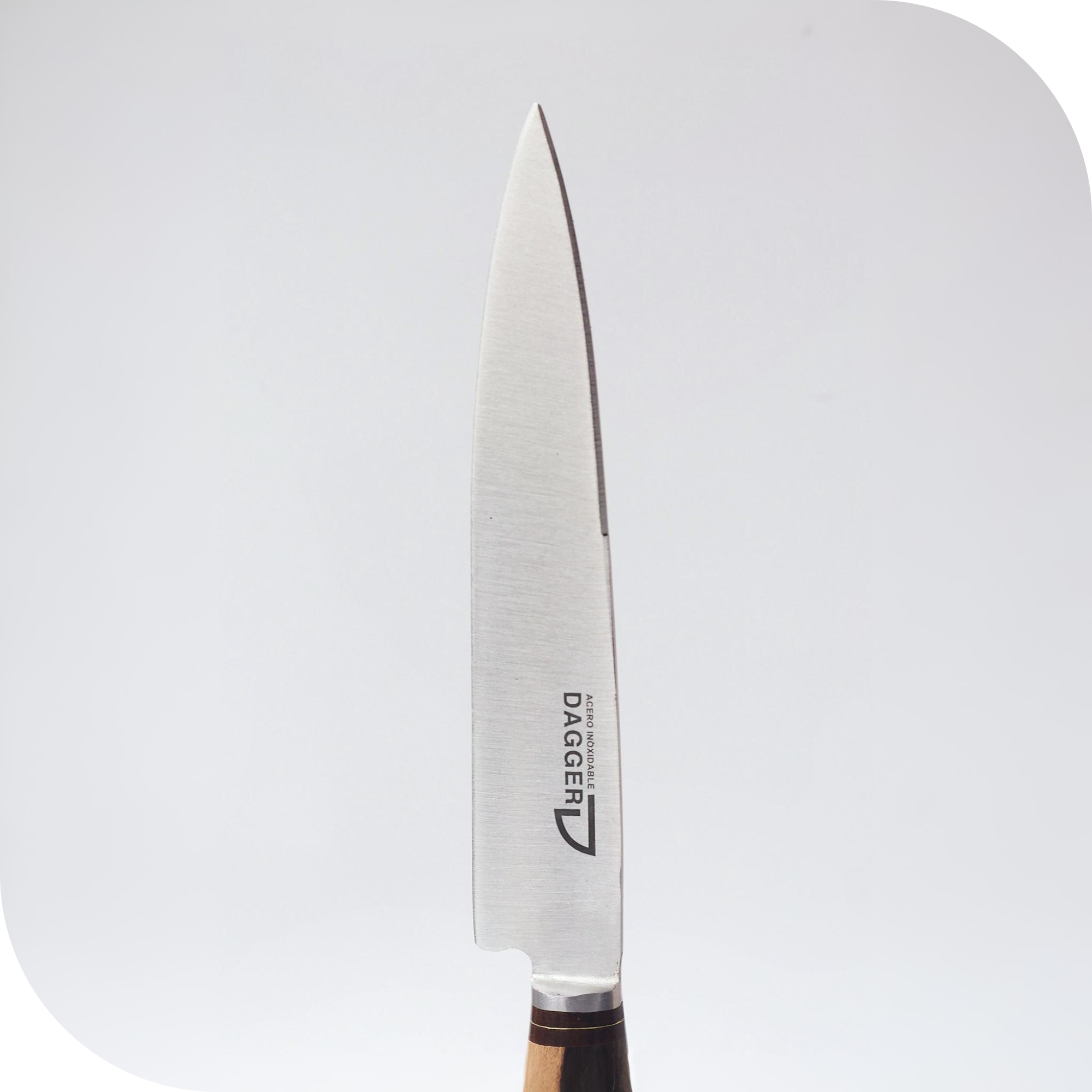 CUCHILLO 16 CM CIERVO Y MADERA - Image 2
